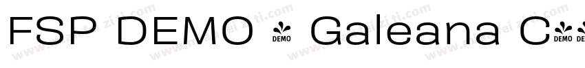 FSP DEMO - Galeana C字体转换